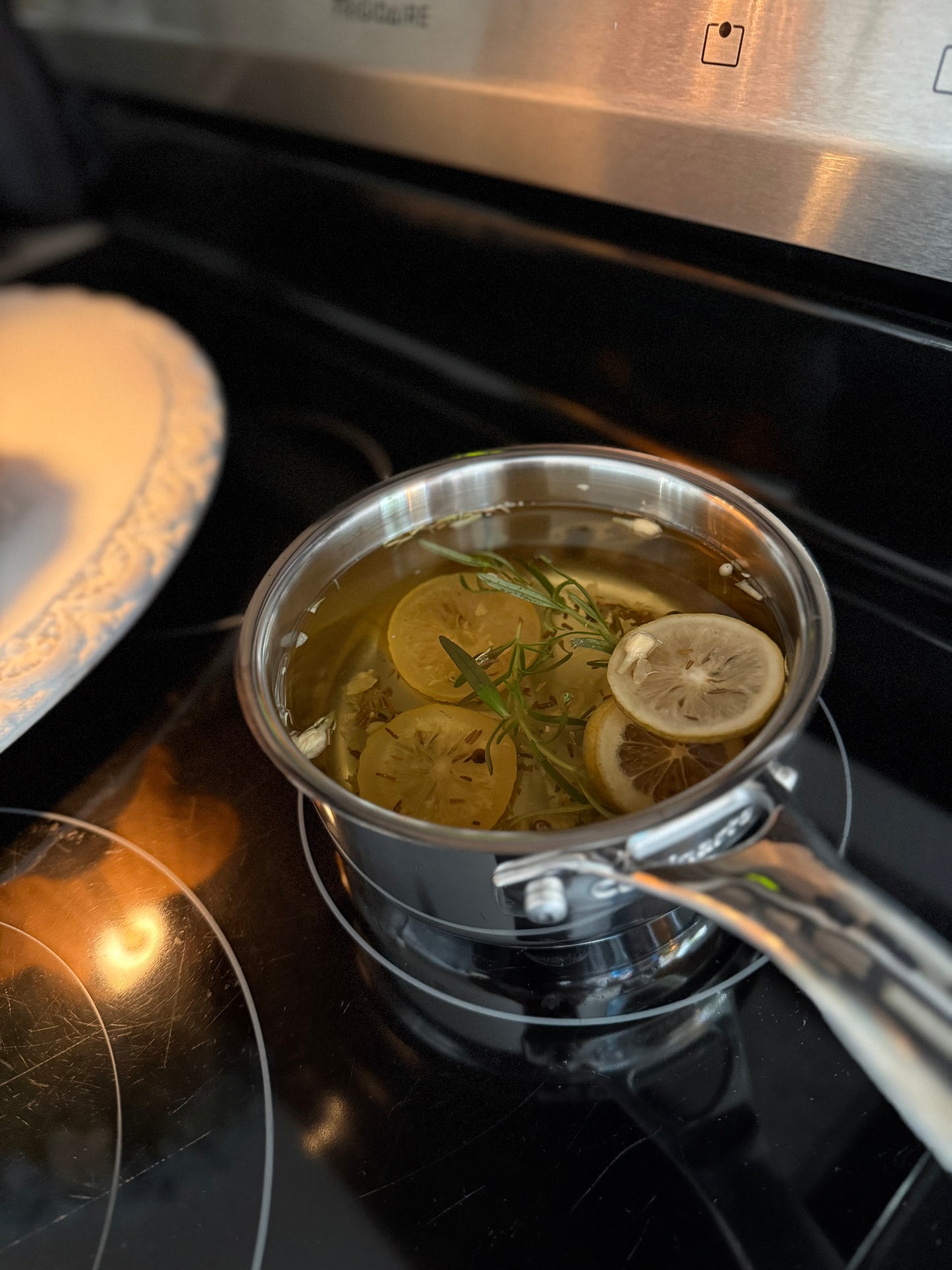 Williams & Sonoma Simmer Pot Potpourri